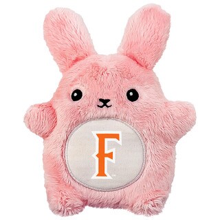 Mascot Factory Fullerton Fan Cake -